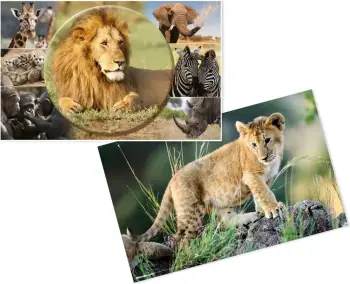 Mbështjellës tavoline HERMA Afrika Tiere, karton, 550x350mm, shumëngjyrësh