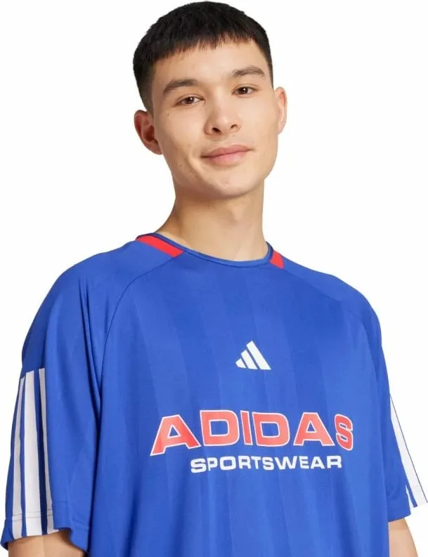 Pamja 4