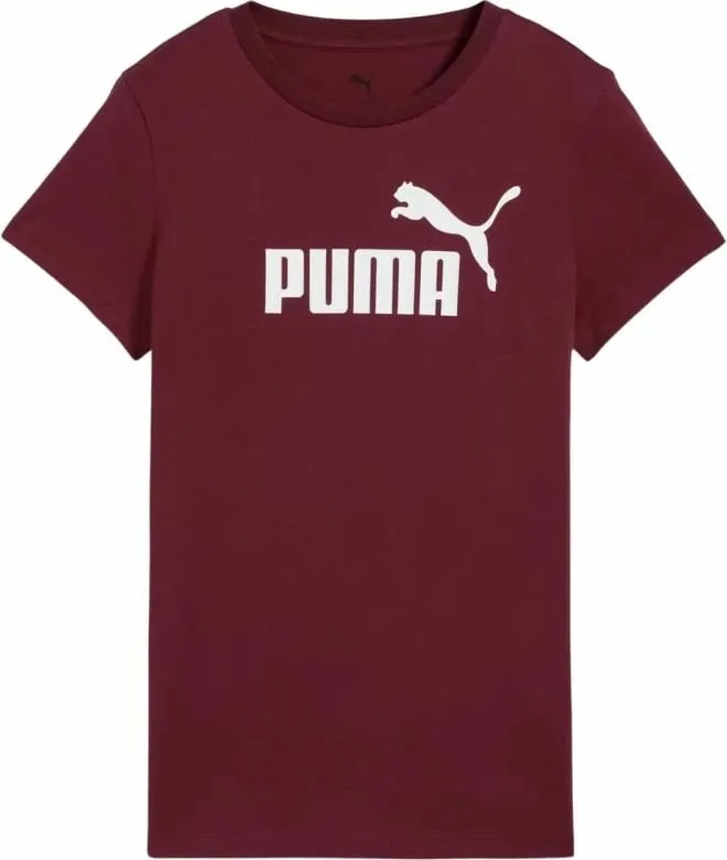Pamja 1