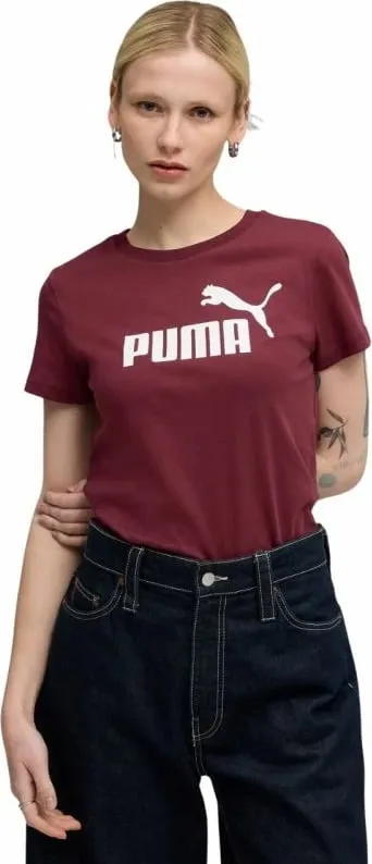 Pamja 3
