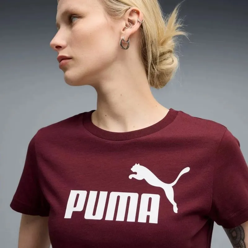 Pamja 5