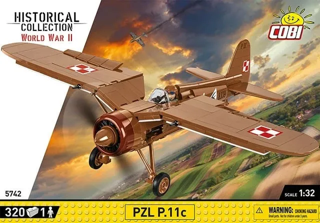 Pamja 17