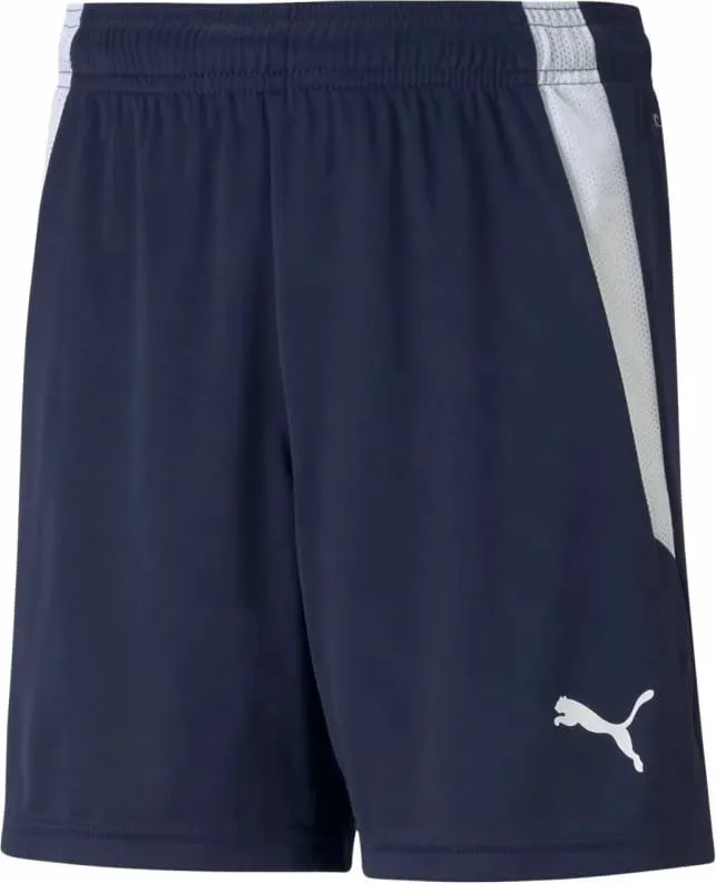 Pamja 1