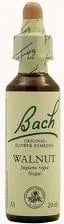 Pikatore suplemente Bach Walnut 33, 20ml, unisex - 1
