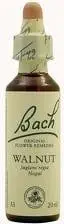 Pikatore suplemente Bach Walnut 33, 20ml, unisex