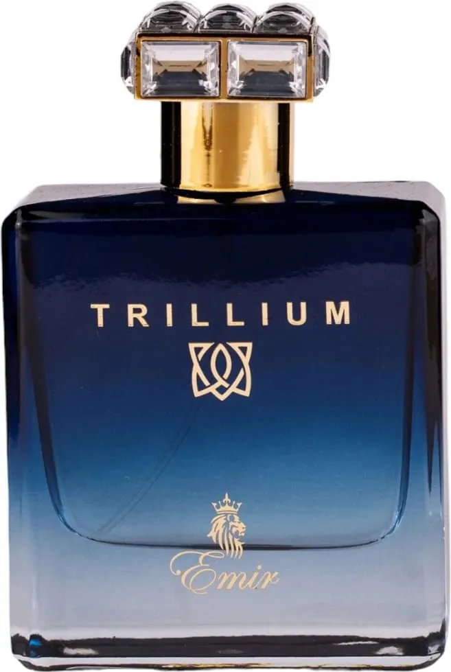Eau de Parfum për meshkuj Emir Trillium 100ml - 1