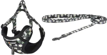 Set për shëtitje për qen Dogness DOG SET DAISY, rrip 1.5m + harness, shumëngjyrësh