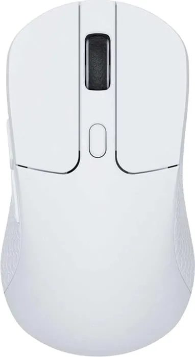 Pamja 1