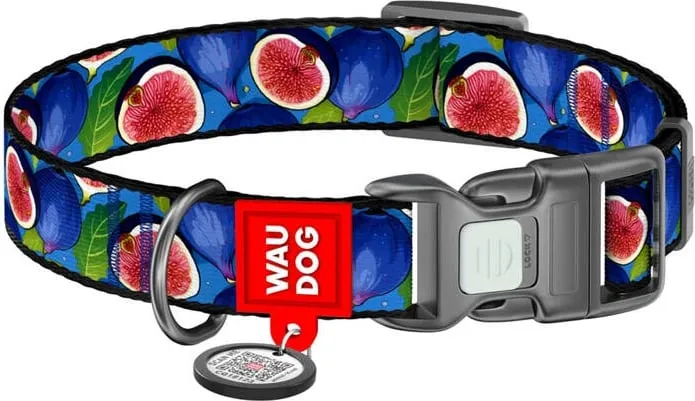 Qafore najloni për qen Waudog Fig me QR kod, S, blu - 2