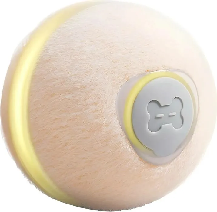 Pamja 1