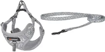 Set për shëtitje me qen Dogness, DOG SET GREY, rrip 1.5m + harness, gri e lehtë