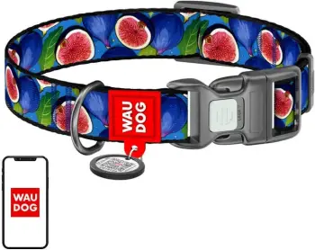 Qafore najloni për qen Waudog Fig me QR kod, M, kaltër