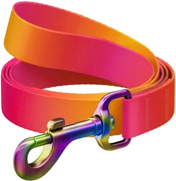 Litar qeni Waudog, 15 mm, 122 cm, portokalli