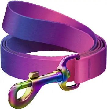 Litar qeni Waudog 46619, rPET, 122 cm, 20 mm, gradient vjollcë