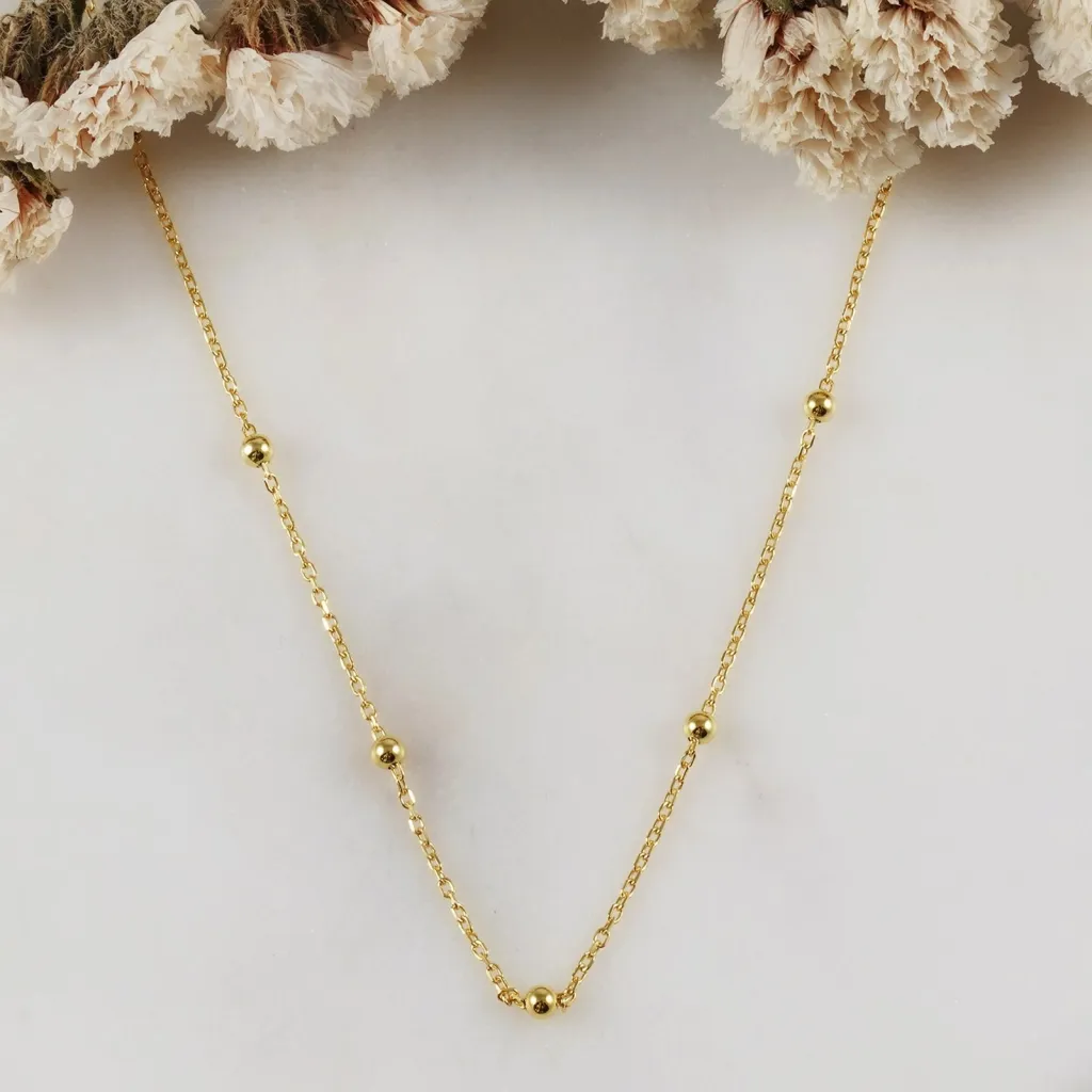 Pamja 1