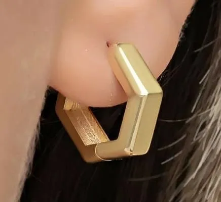 Pamja 1