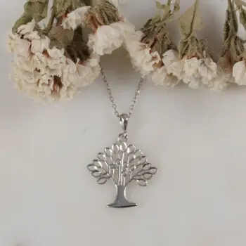 Varëse argjendi Jumeon, 10911ROD