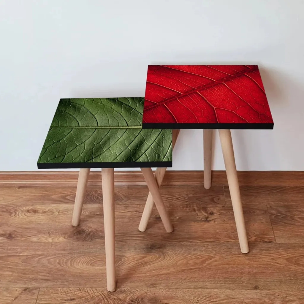 Set tavolinash ndihmëse, dy copë, ngjyrë e gjelbër dhe e kuqe, Skye Decor, 2Shp420 - 1