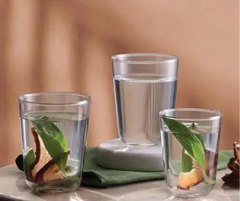 Set gotash xhami (6 copë), Hermia Concept, Otto-KY - 120