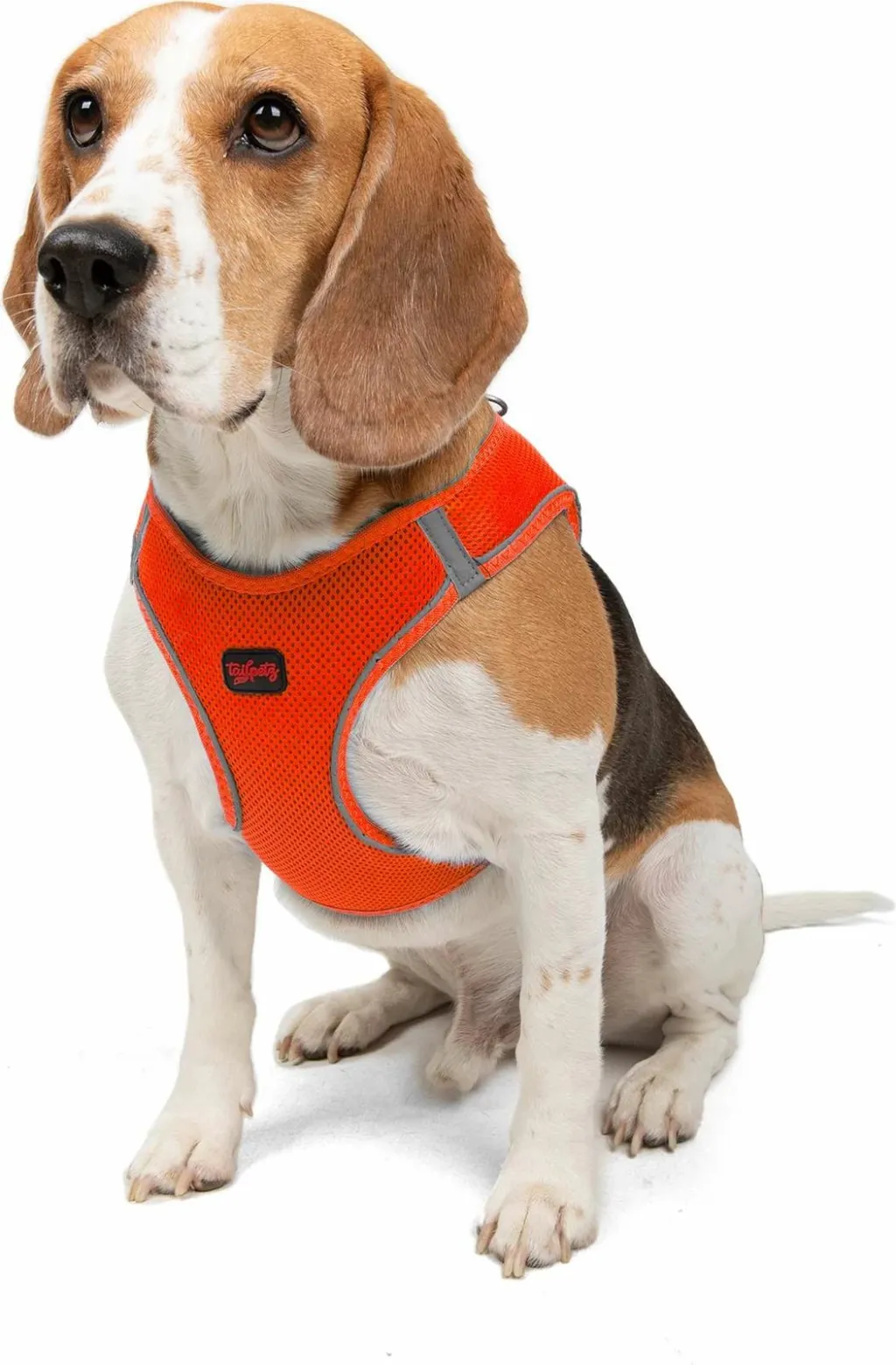 Pamja 3
