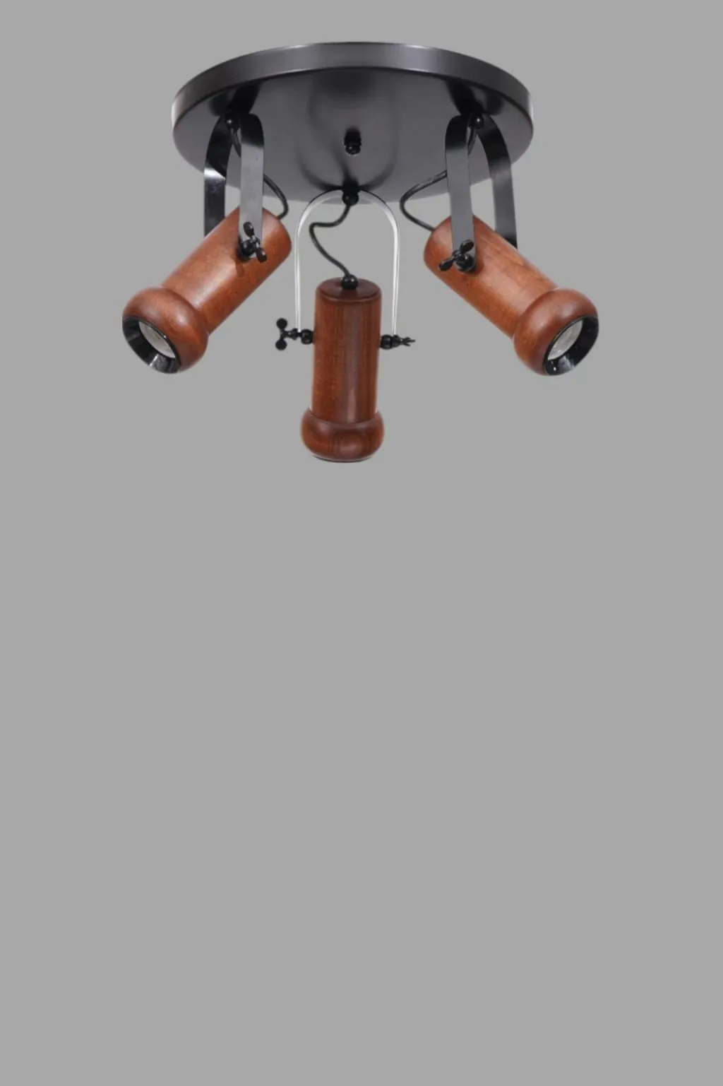 Pamja 4
