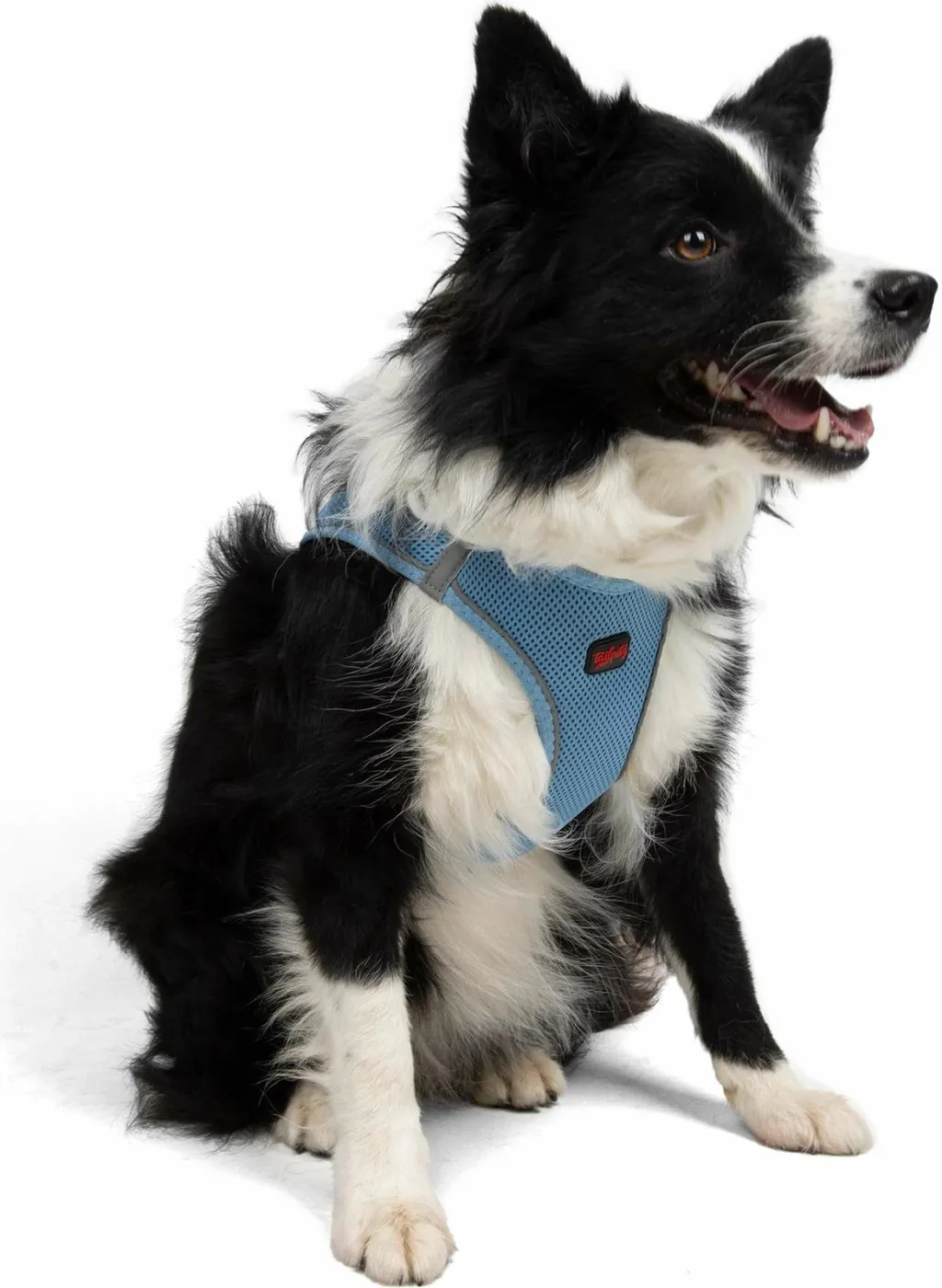 Parzmore për qen, Air-Mesh, ngjyrë kaltër, XL - 4
