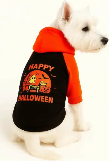Bluzë me kapuç për qen, Paws & Whiskers, e zezë, Happy Halloween, madhësia S