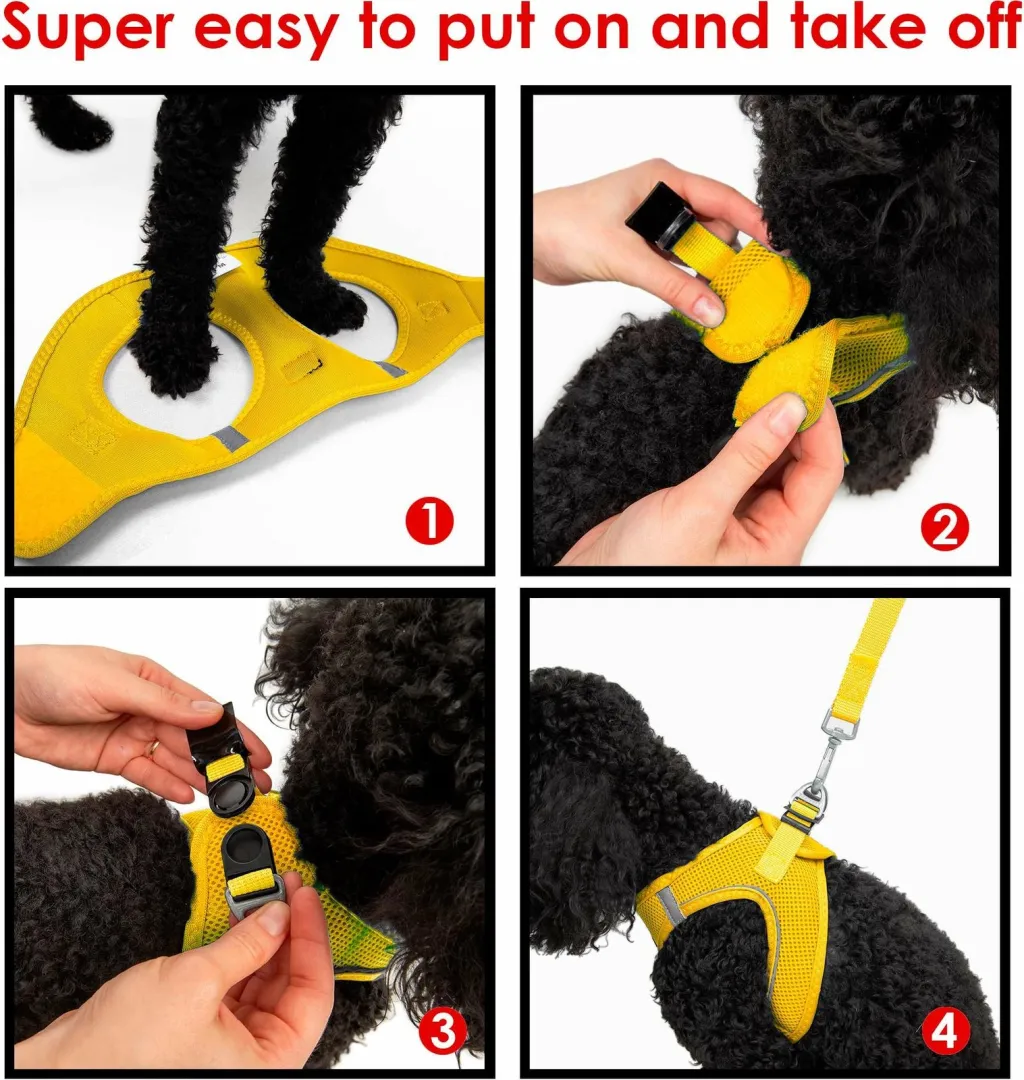 Pamja 15