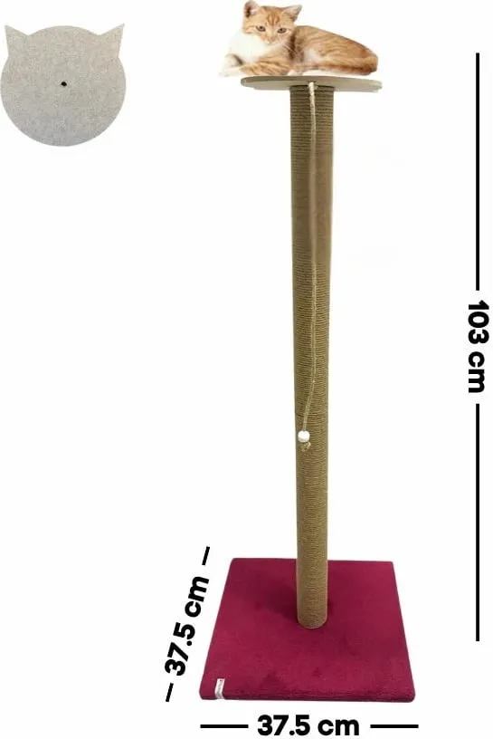 Pamja 2