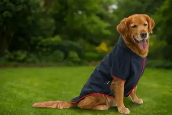 Hudi për qen, ngjyrë navy, Paws & Whiskers, 3XL, rezistente ndaj ujit