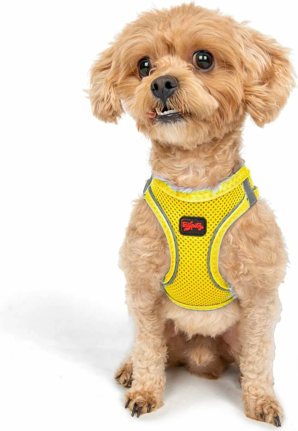 Pamja 4