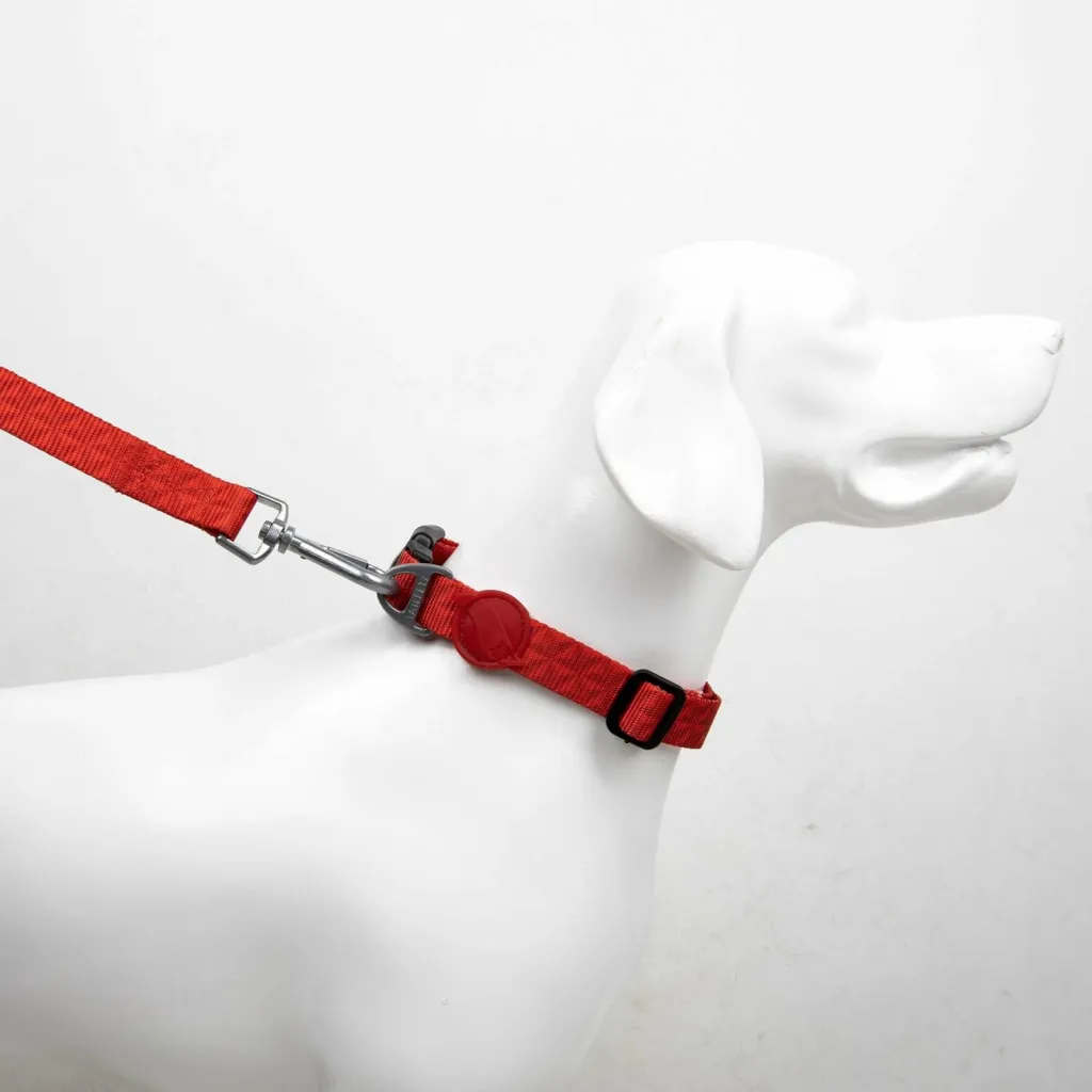 Litar për qen, Paws & Whiskers, Prism, mesatar - 2