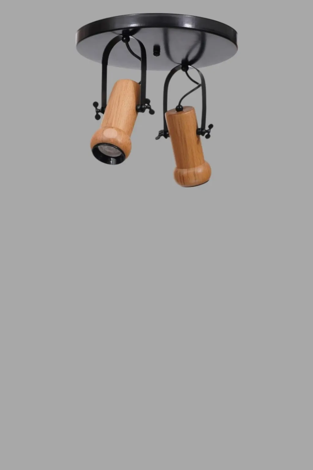 Pamja 3