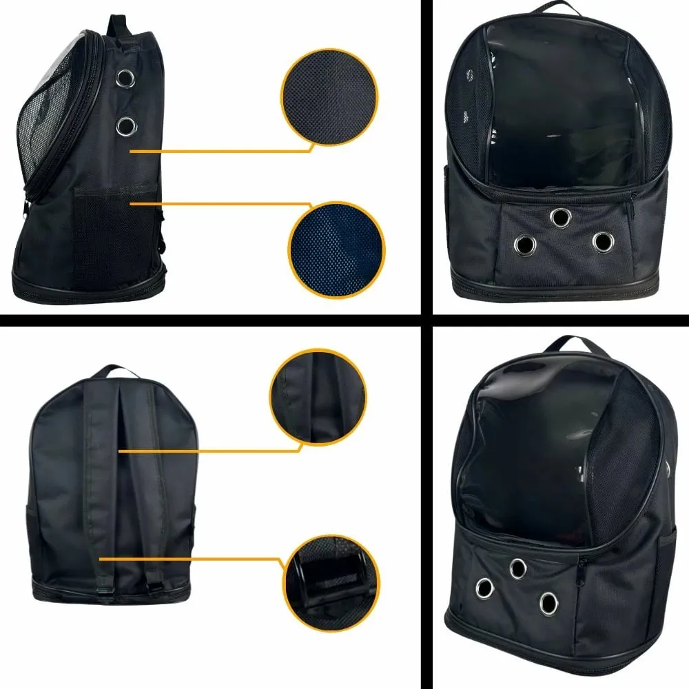 Pamja 4