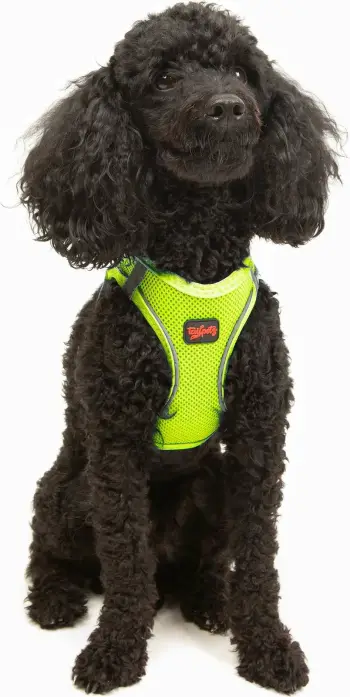 Parzmore për qen, Air-Mesh, ngjyrë Neo Lime