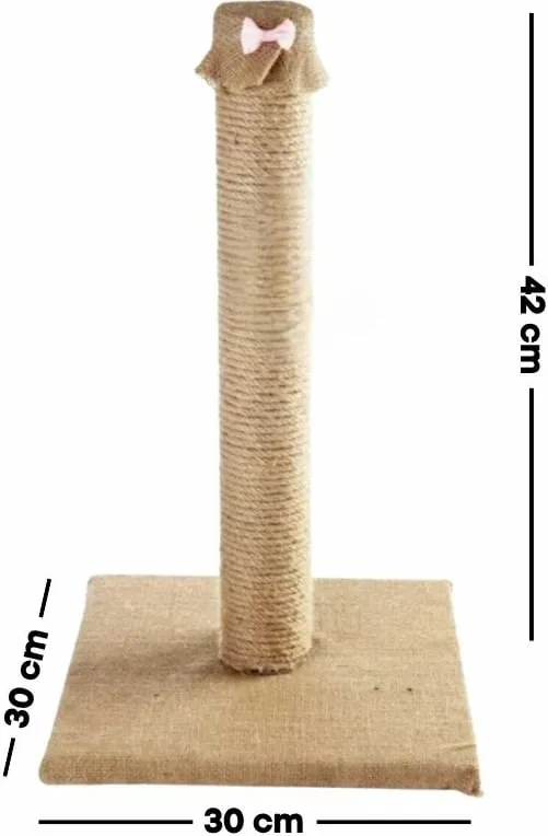 Pamja 2