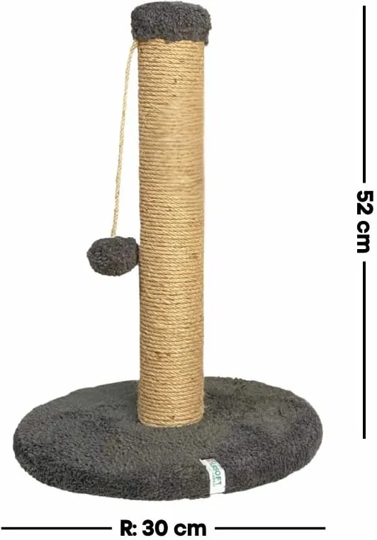 Pamja 2