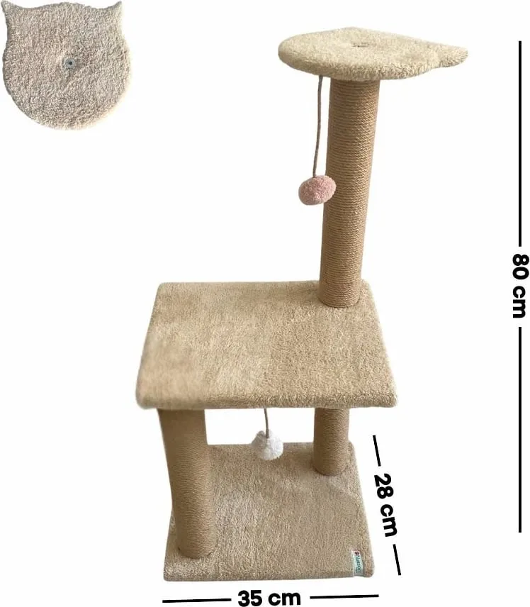 Pamja 3