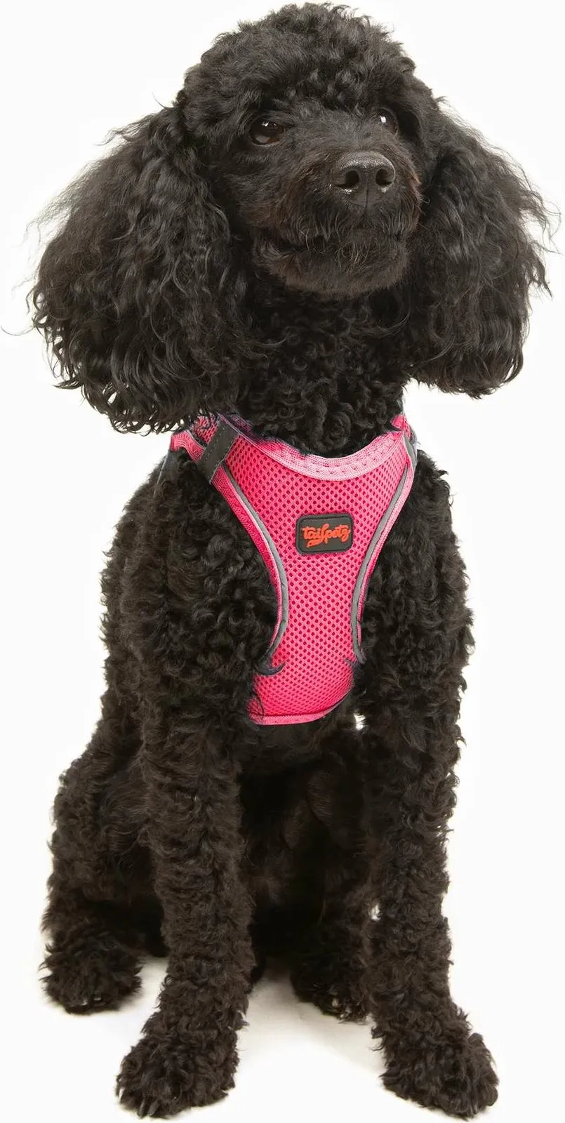 Parzmore për qen, Air-Mesh, ngjyrë Neo Pink - 1