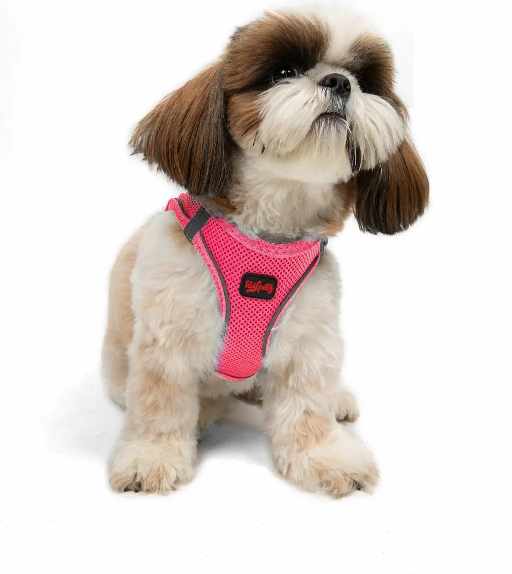 Parzmore për qen, Air-Mesh, ngjyrë Neo Pink - 4