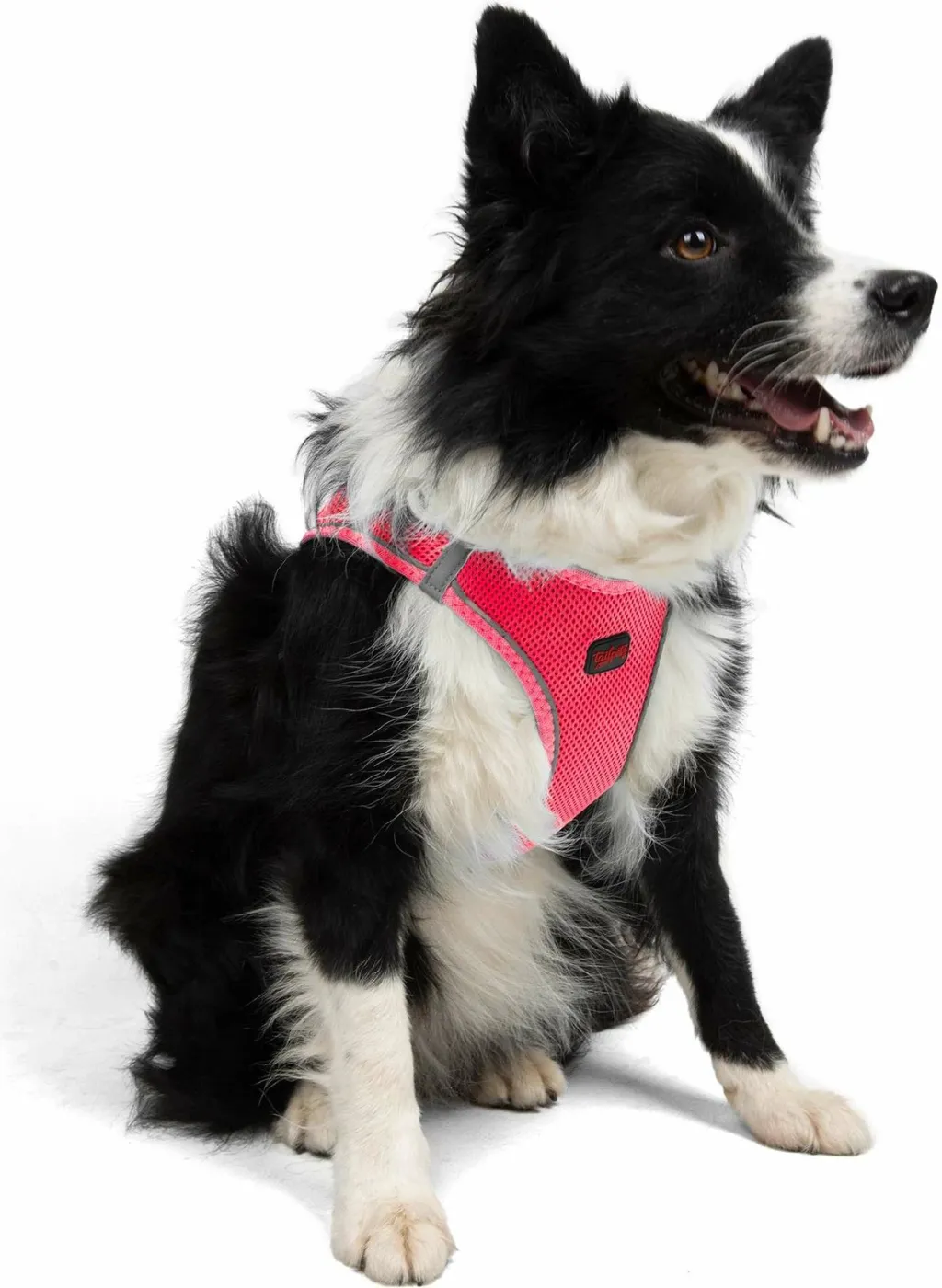 Parzmore për qen, Air-Mesh, ngjyrë Neo Pink - 5