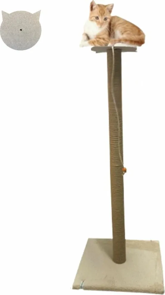 Pamja 1