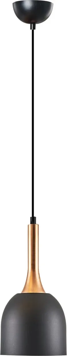 Pamja 1