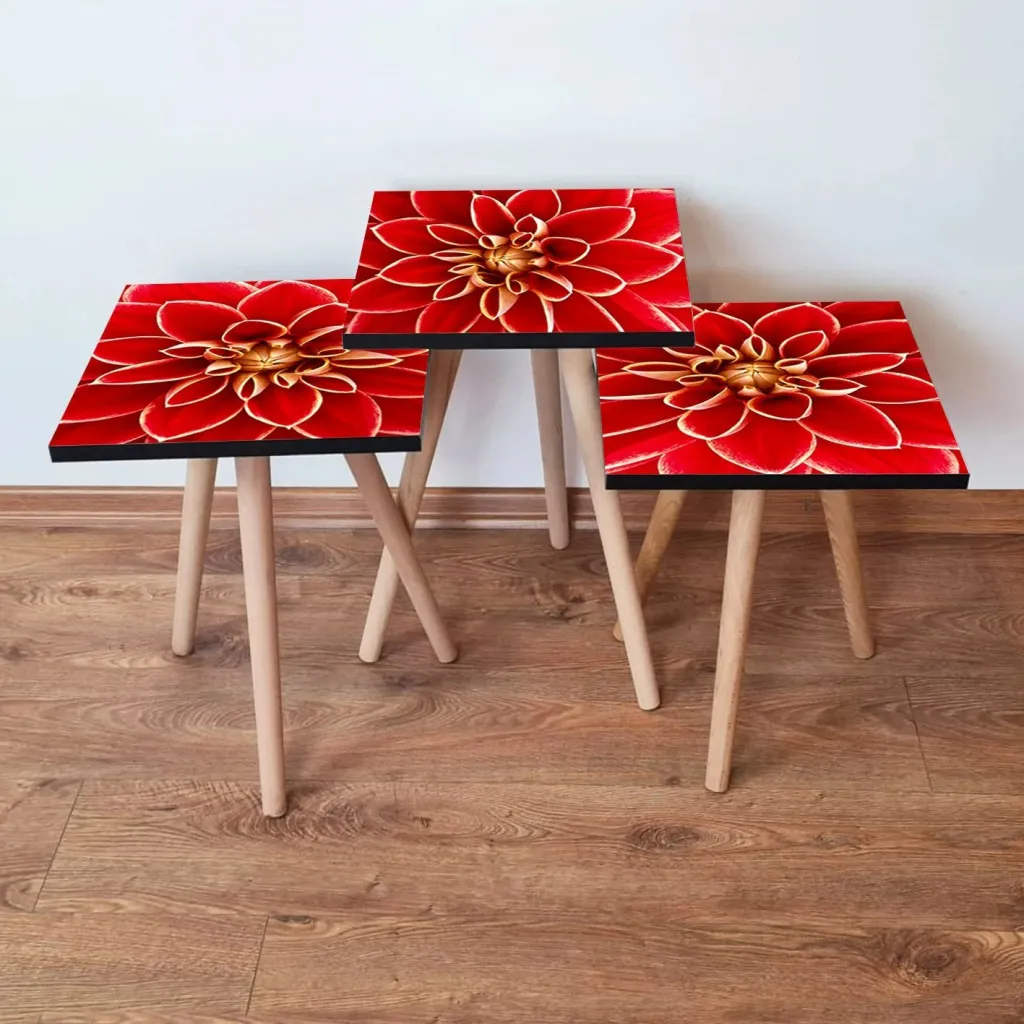Set tavolinash të vendosshme (3 copë), Skye Decor, 3Shp361, ngjyrë e kuqe - 1