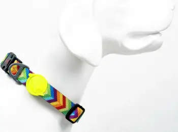 Qafore për qen, shumëngjyrëshe, Paws & Whiskers, Rainbow