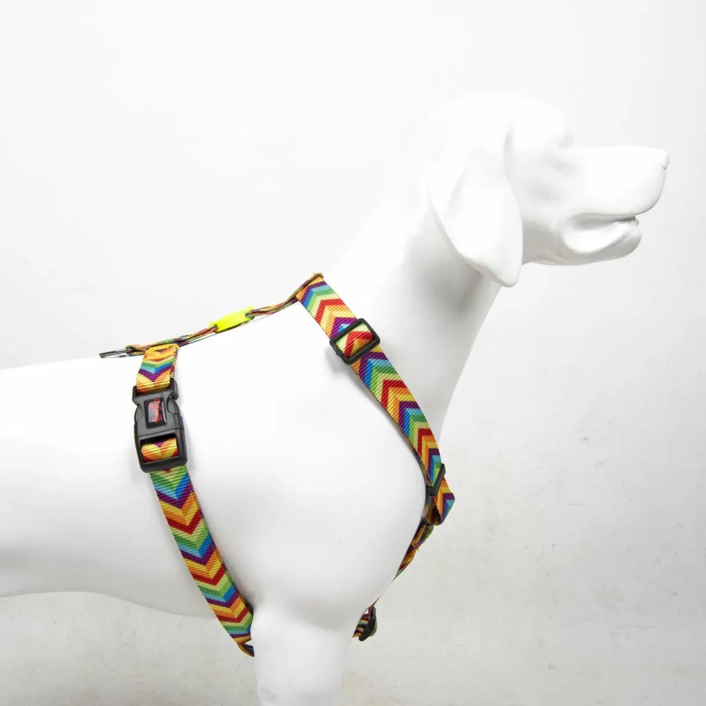 Parzmore për qen, shumëngjyrësh, Paws & Whiskers, Rainbow - 3