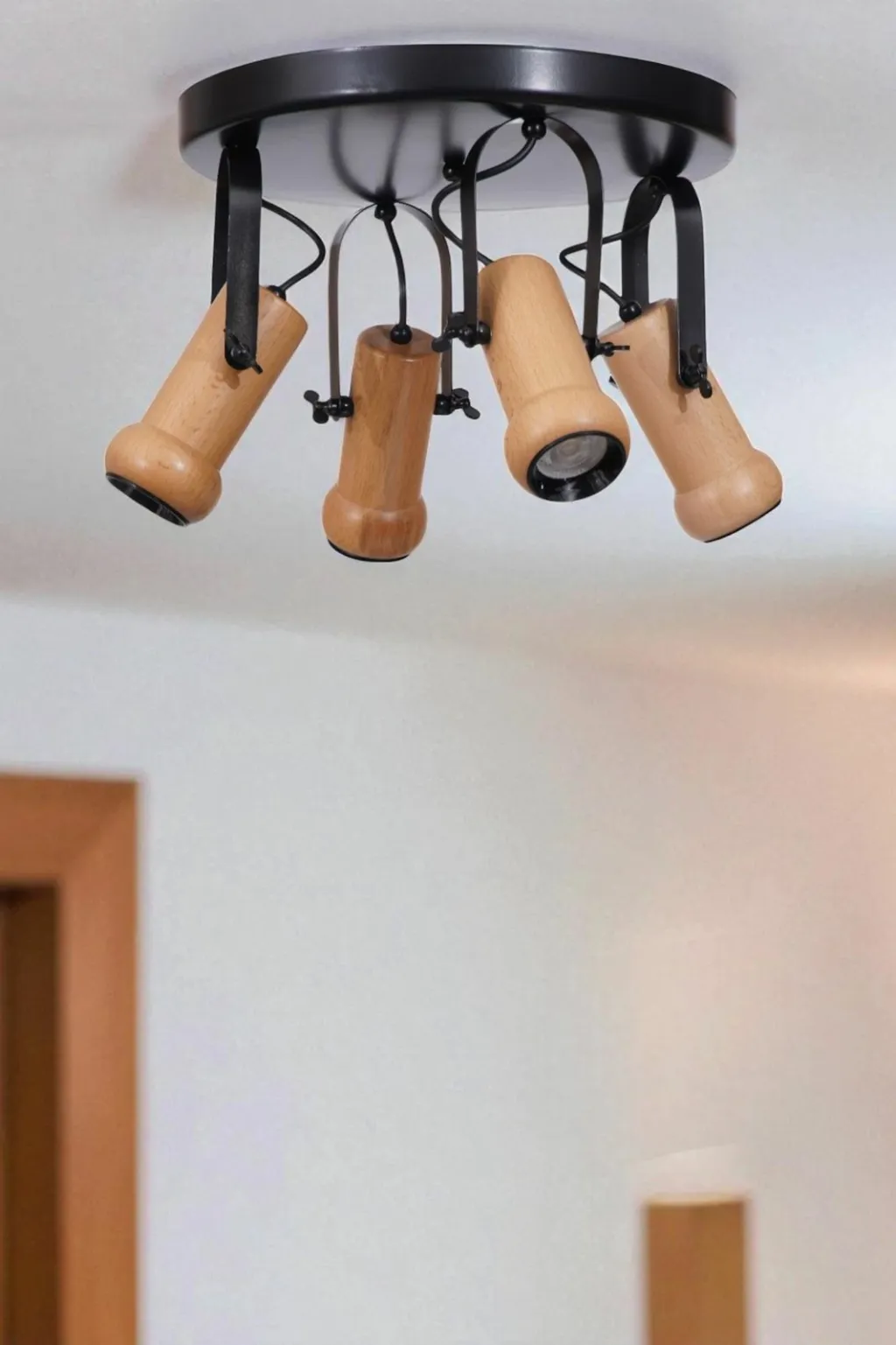 Pamja 1
