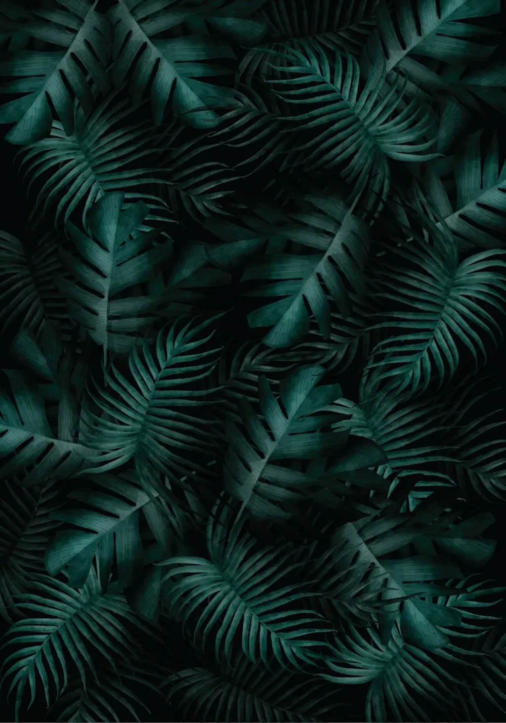 Pamja 2