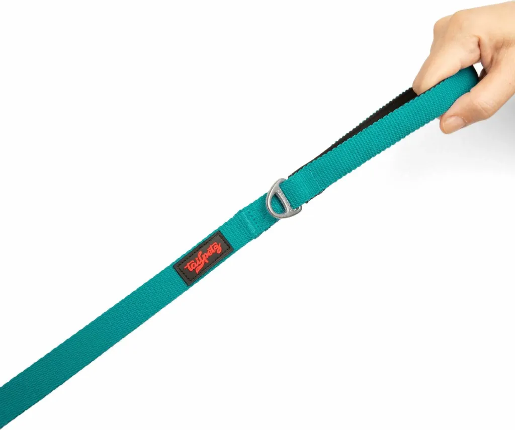 Litar për qen, ngjyrë smeraldi, Paws & Whiskers, Match Small - 2