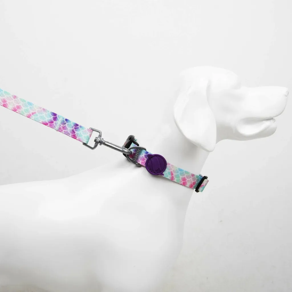 Litar për qen, Paws & Whiskers, Bubles Medium, shumëngjyrësh, 130x2cm - 1